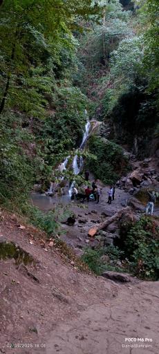 عکس جنگل کبودوال