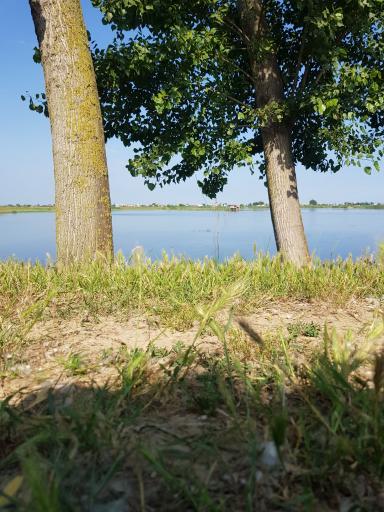 عکس تالاب فریدون کنار