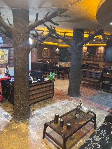 عکس رستوران سنتی دامون