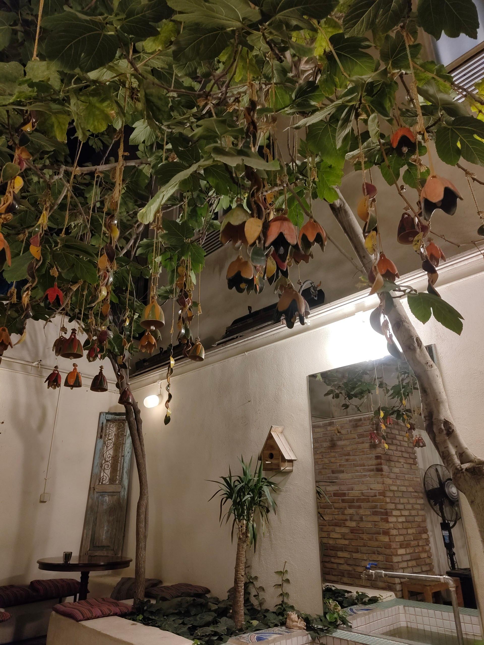 عکس کافه رستوران انسان