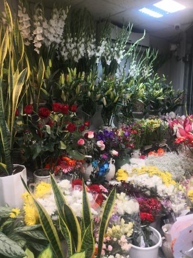 عکس گل فروشی پامچال