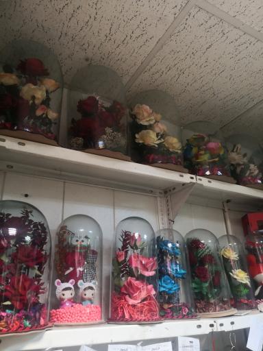 عکس گل فروشی پامچال