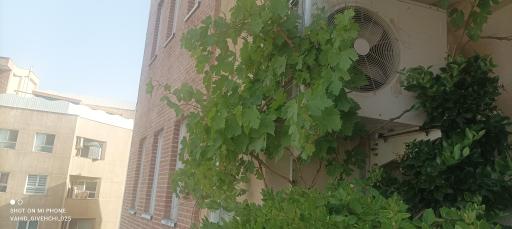 عکس متجمع مسکونی خاتم