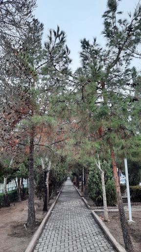 عکس بوستان یاسمن