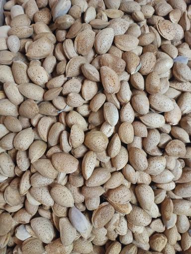 عکس ارزان سرای افشار