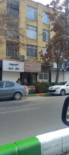 عکس آکواریوم هنر سبز