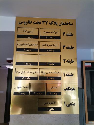 عکس دانش یوگا