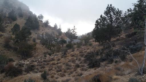 عکس منطقه حفاظت شده گنو