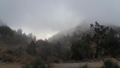 عکس منطقه حفاظت شده گنو