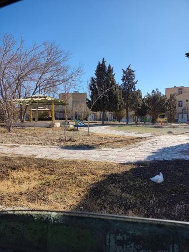 عکس پارک لاله