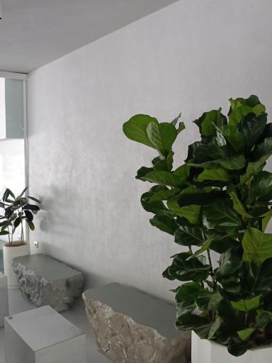 عکس کافه کجا