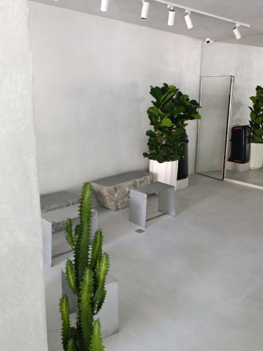 عکس کافه کجا