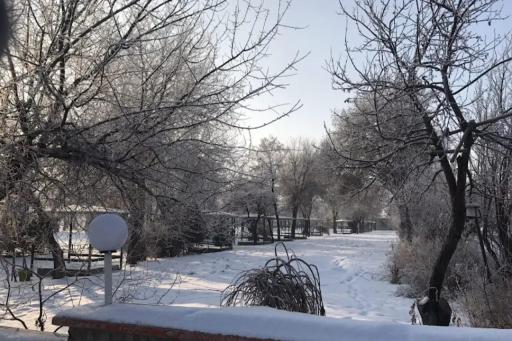 عکس بوستان بهشتی