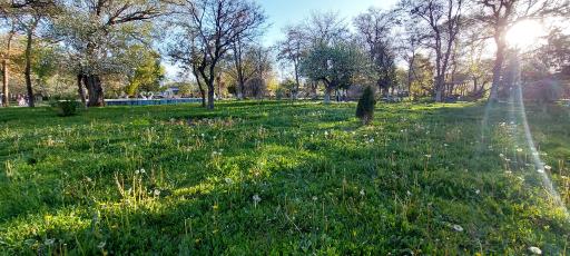 عکس بوستان بهشتی