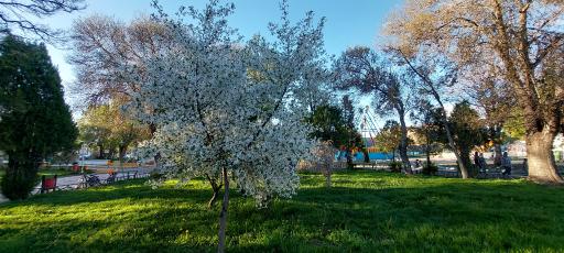 عکس بوستان بهشتی