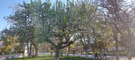 عکس بوستان بهشتی