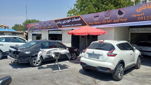 عکس صافکاری و نقاشی پرشین PDR