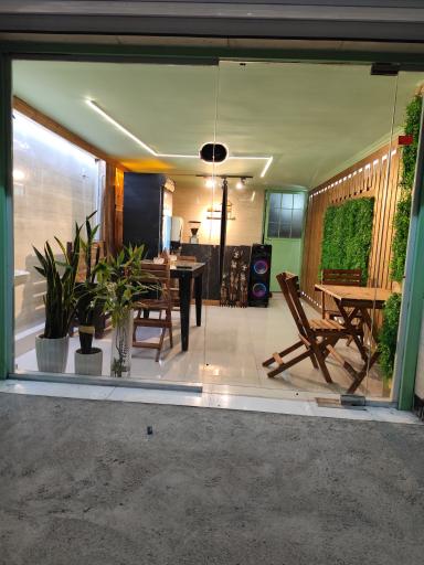 عکس کافه درختی