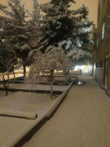 عکس فضای سبز