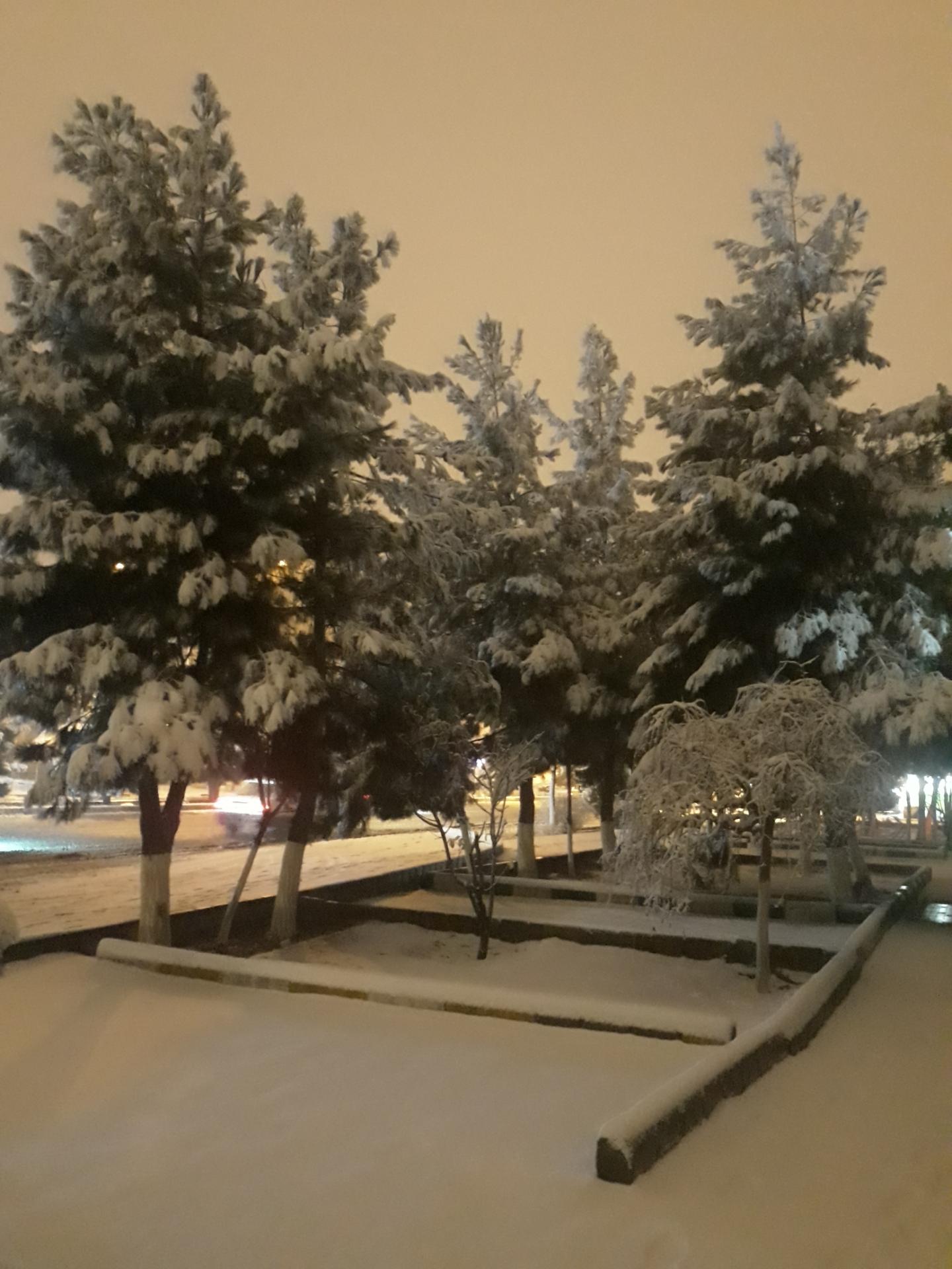 عکس فضای سبز