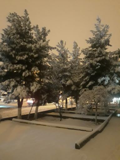 عکس فضای سبز