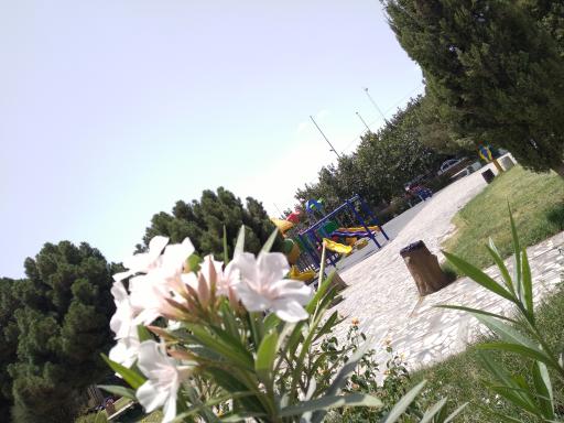 عکس باغ ملی