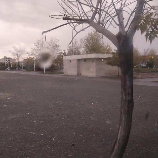 عکس سرویس بهداشتی