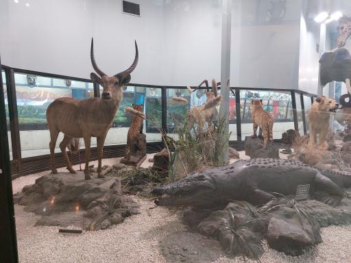 عکس موزه تنوع زیستی