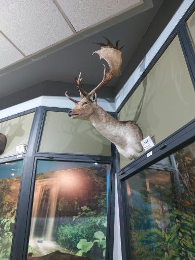 عکس موزه تنوع زیستی