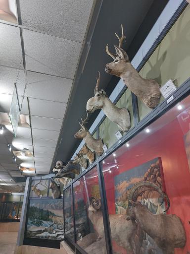 عکس موزه تنوع زیستی