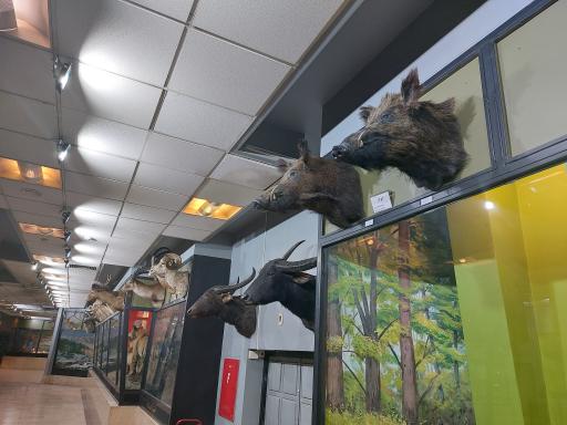 عکس موزه تنوع زیستی