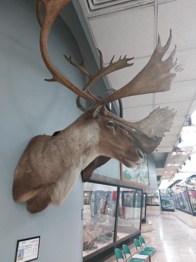 عکس موزه تنوع زیستی