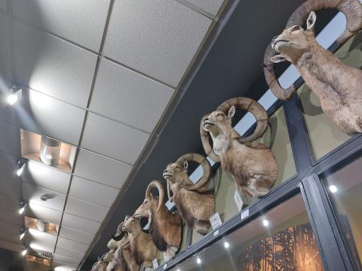 عکس موزه تنوع زیستی