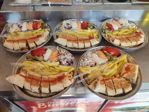 عکس کباب ترکی آدنا، شاورما