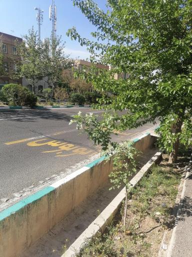 عکس انصارالمهدی