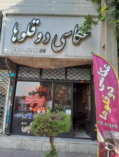 عکس عکاسی دوقلوها