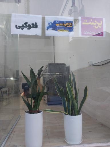 عکس کافی نت آوا