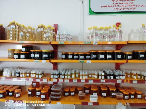 عکس عرقیات رضی سرکان