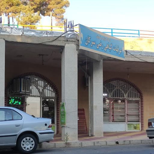 عکس عرقیات رضی سرکان