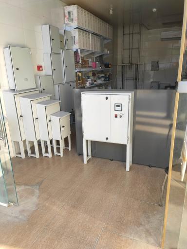 عکس کارینا الکتریک 