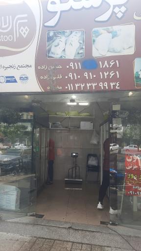 عکس مرغ پرستو