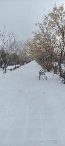 عکس دانشکده ادبیات و علوم انسانی