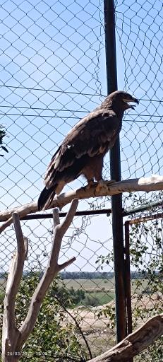 عکس باغ وحش دز