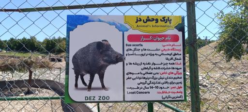 عکس باغ وحش دز