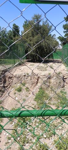 عکس باغ وحش دز