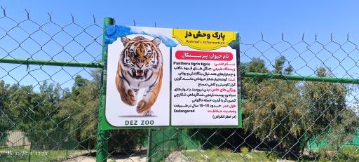 عکس باغ وحش دز