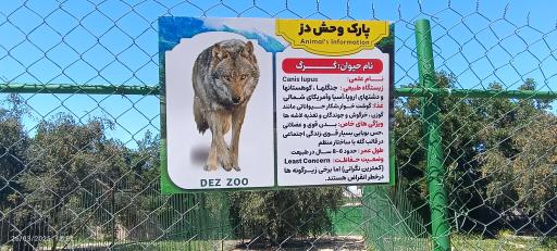 عکس باغ وحش دز