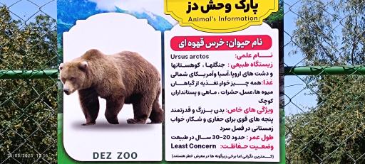 عکس باغ وحش دز