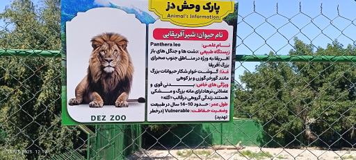 عکس باغ وحش دز