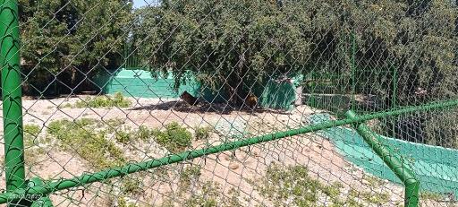 عکس باغ وحش دز